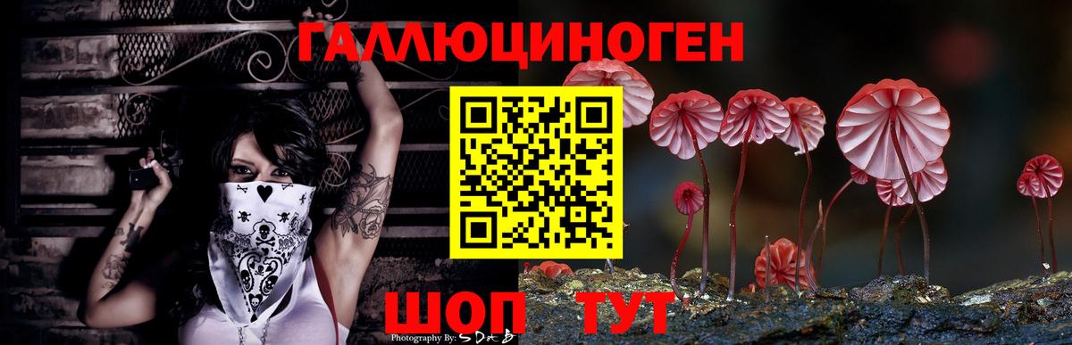 купить закладку  Вход с VPN  Псилоцибиновые грибы Psilocybe  Ногинск  Галлюциногенные грибы мухоморы 